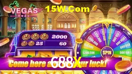 Experiência VIP 688X